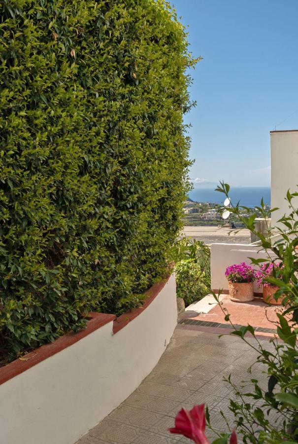 Capri Town Apartments Exterior foto